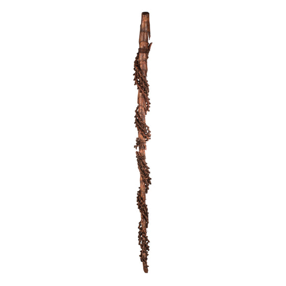 70-78" Natural Ladder Wrapped Stalk 1Pk