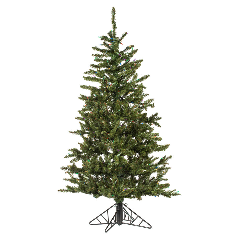 Natural Fraser Fir