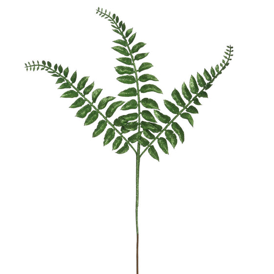 Locust Fern Spray