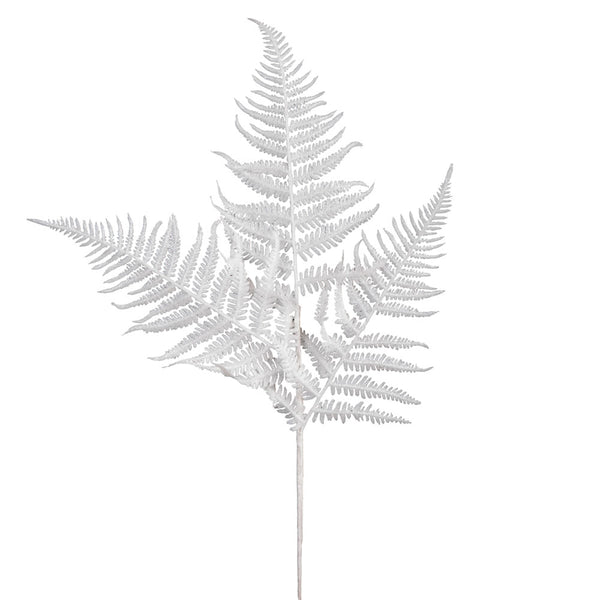 Fern Spray