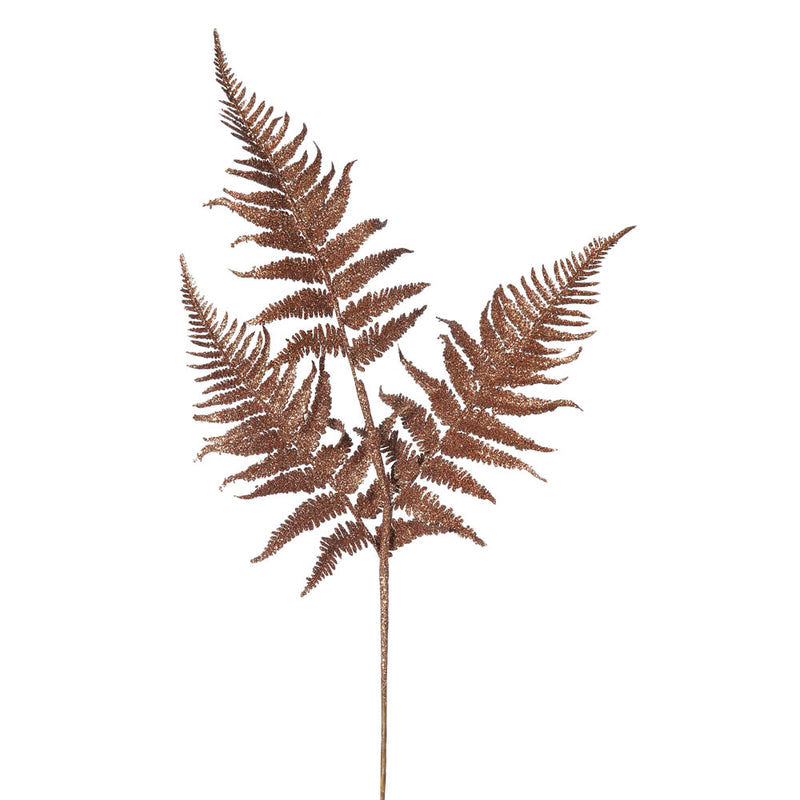 Fern Spray