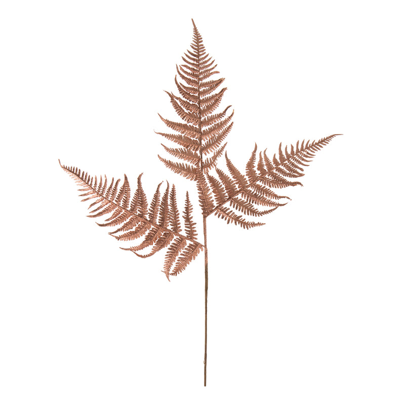 Fern Spray