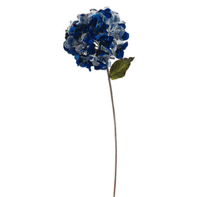 Hydrangea Flower