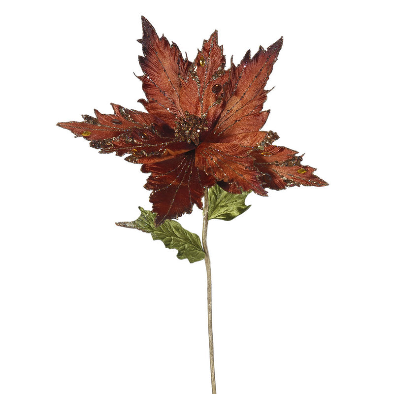 Poinsettia Flower