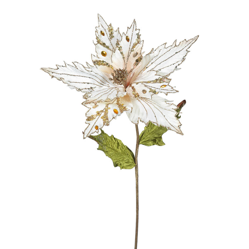 Poinsettia Flower