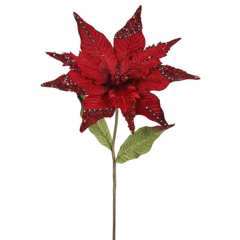 Poinsettia Flower