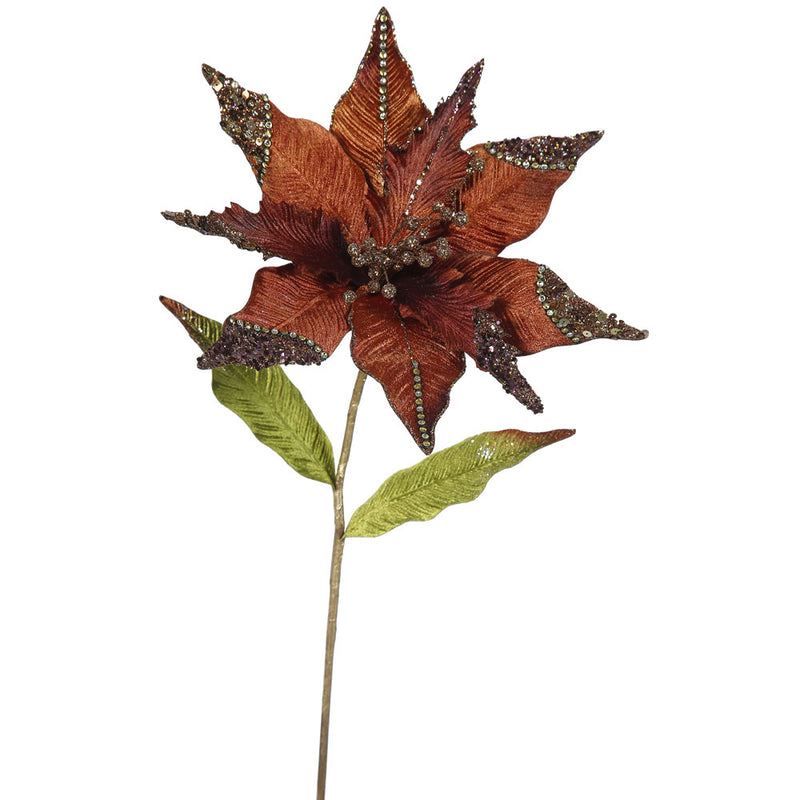 Poinsettia Flower