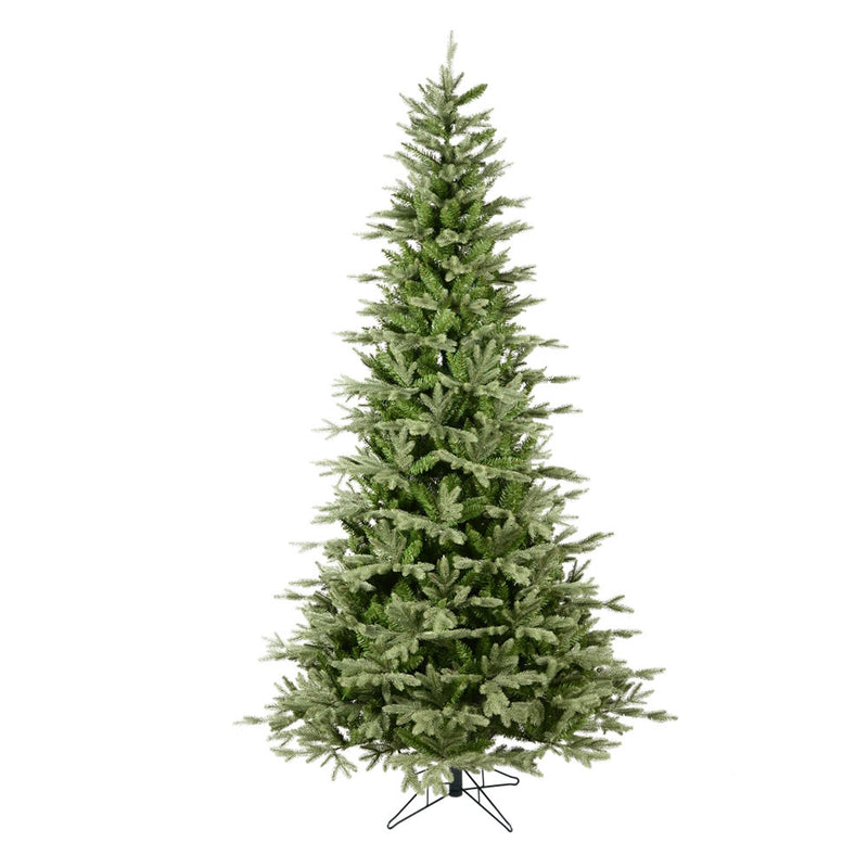 Fresh Balsam Fir