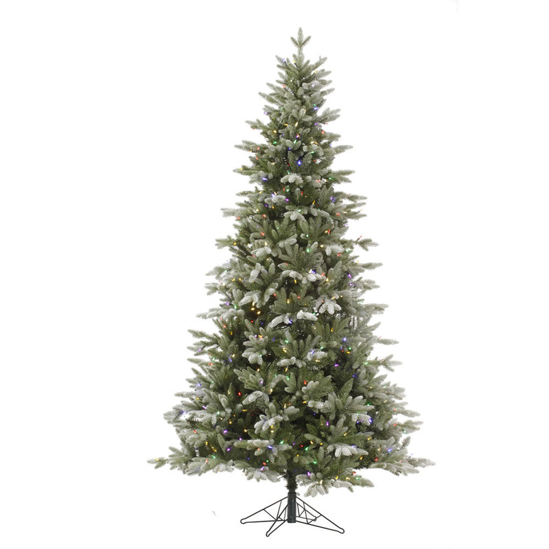 Frosted Balsam Fir