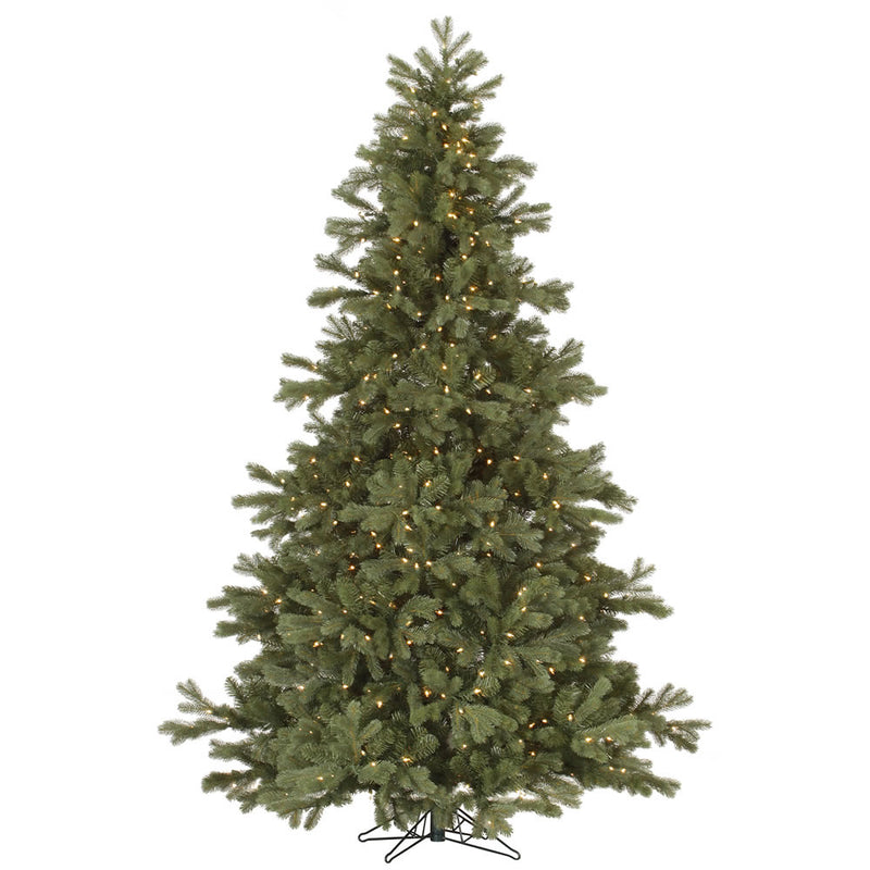 Frasier Fir