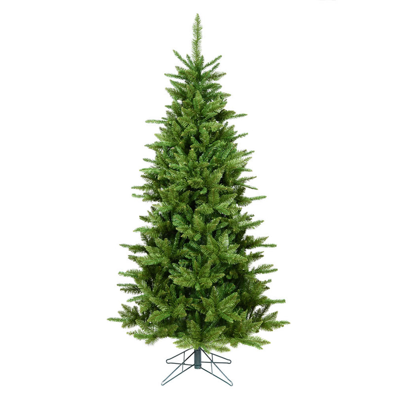 Durango Spruce