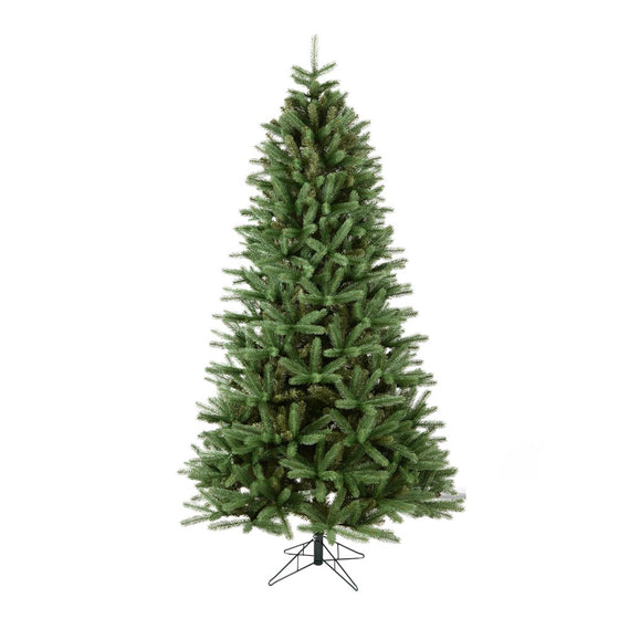 Colorado Spruce