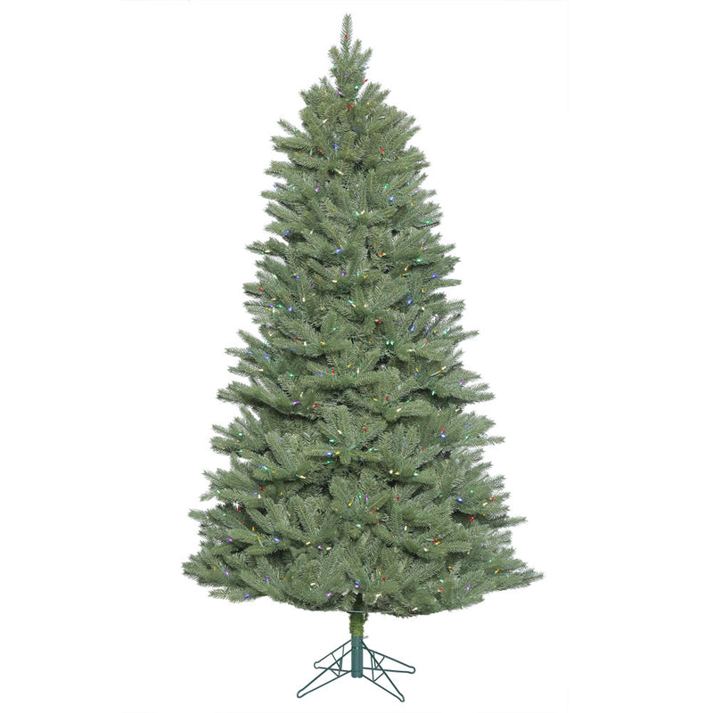 Colorado Spruce