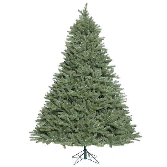 Colorado Spruce