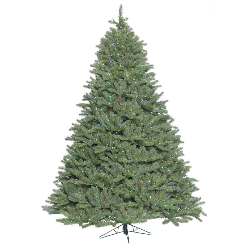 Colorado Spruce