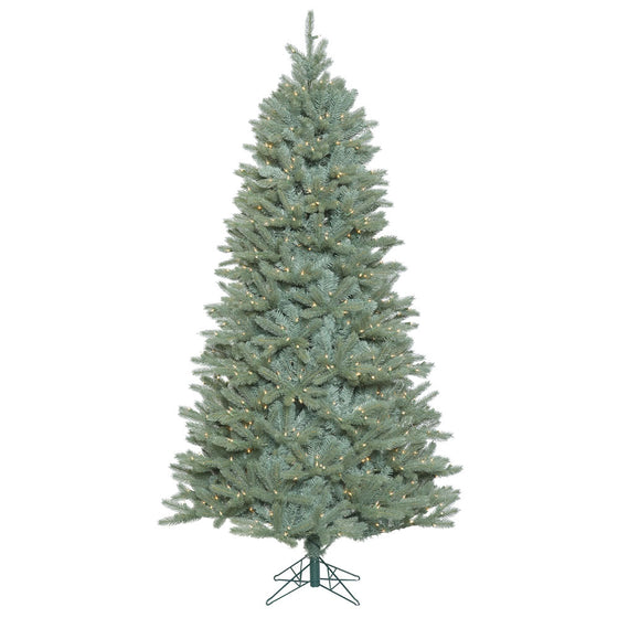 Colorado Blue Spruce