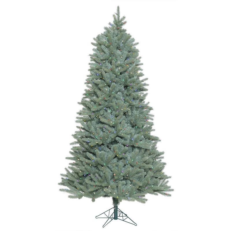 Colorado Blue Spruce