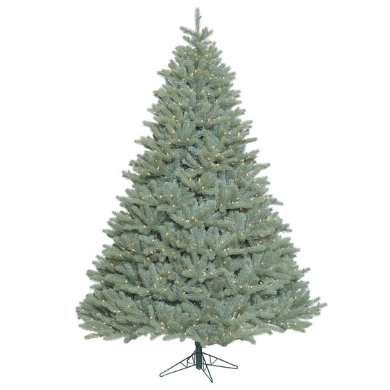 Colorado Blue Spruce