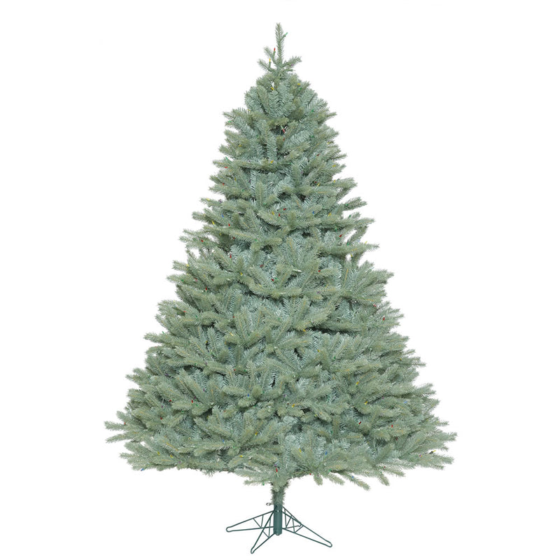 Colorado Blue Spruce