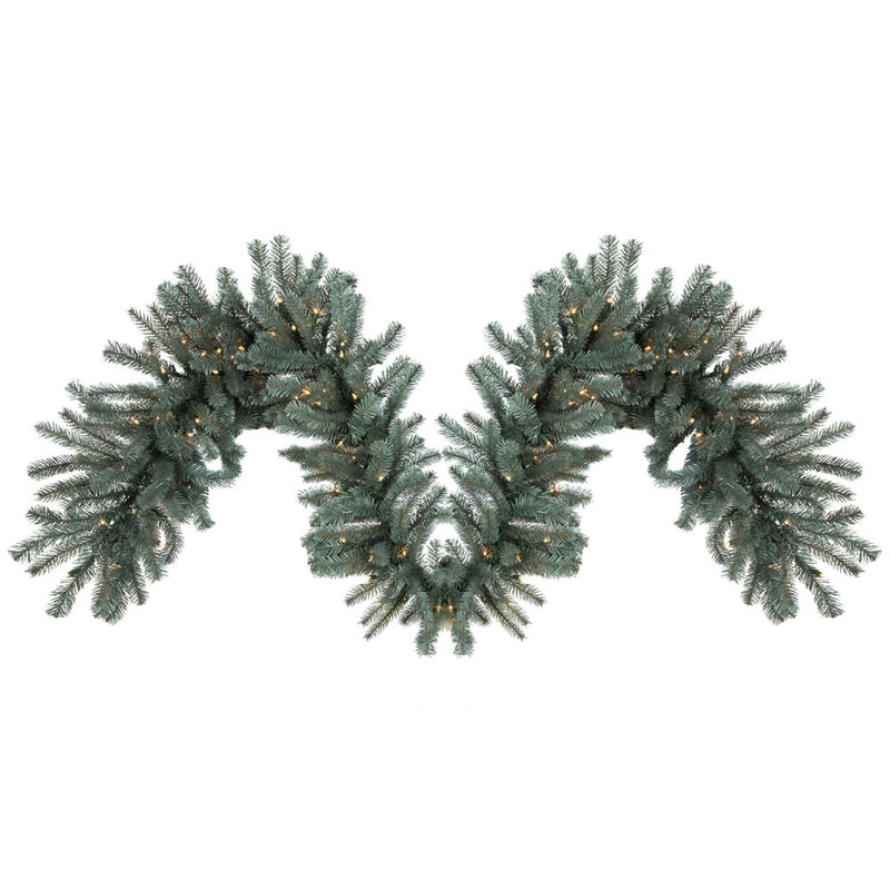Colorado Blue Spruce