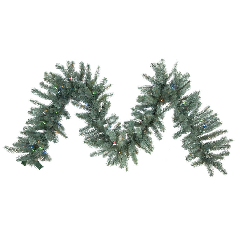 Colorado Blue Spruce