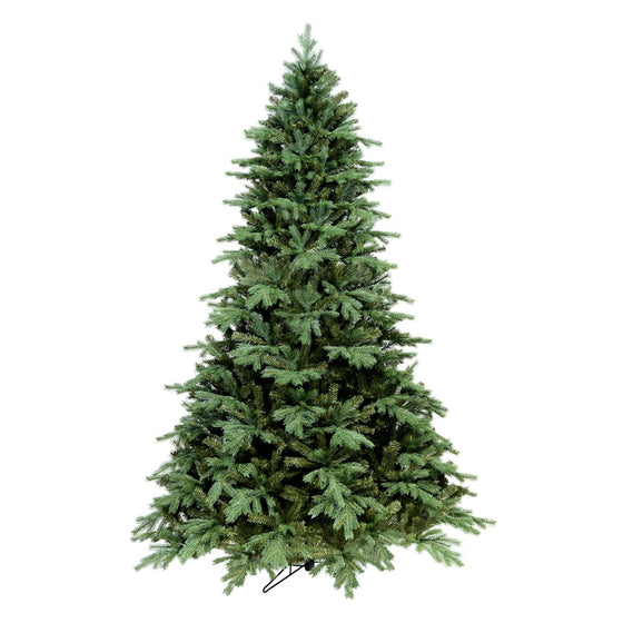 Denver Spruce