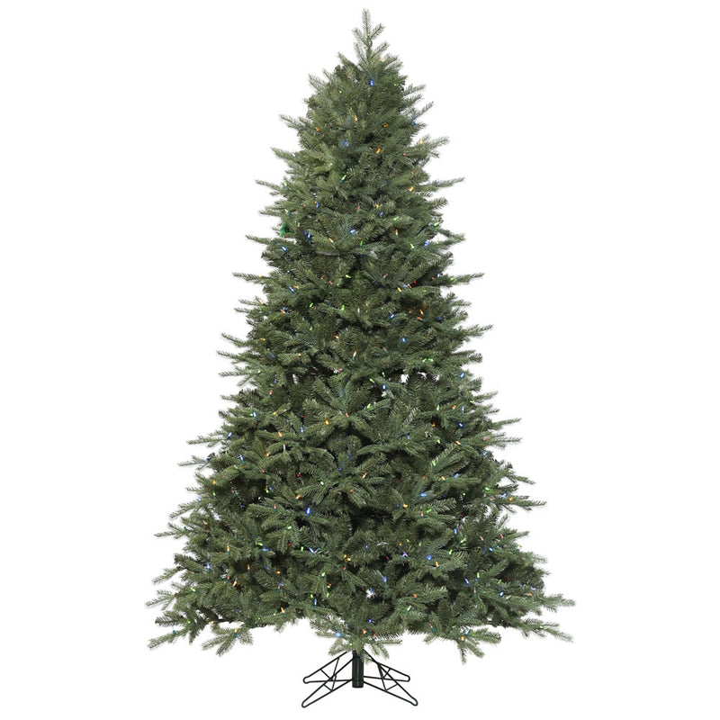 Denver Spruce