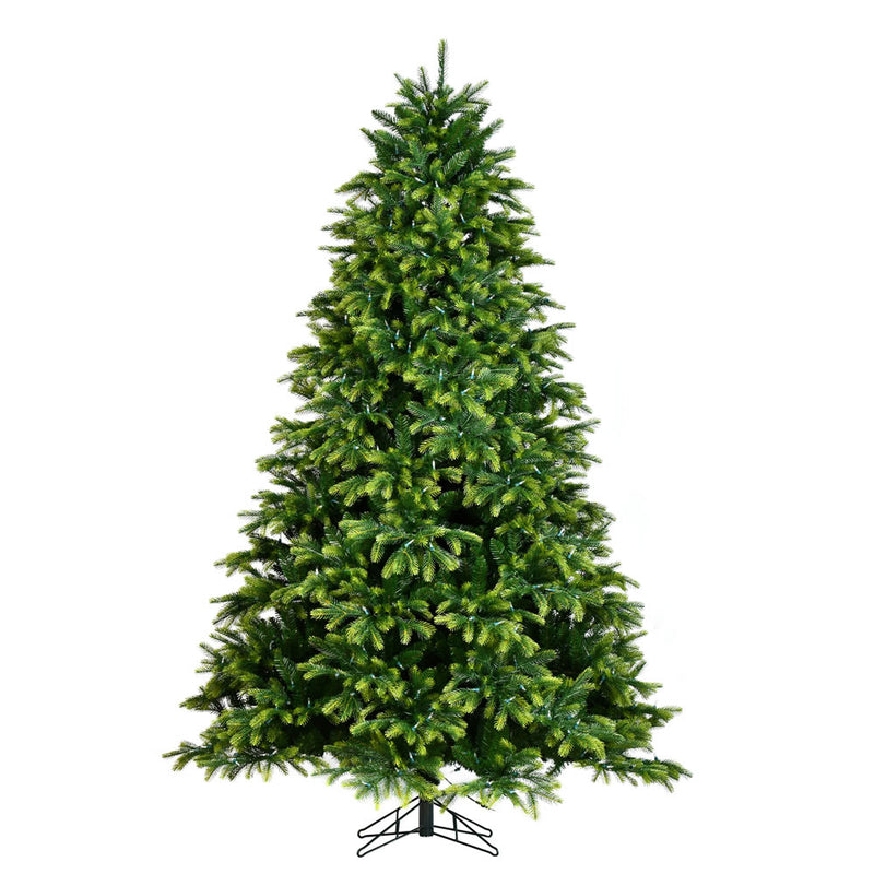 Deluxe Bethel Spruce