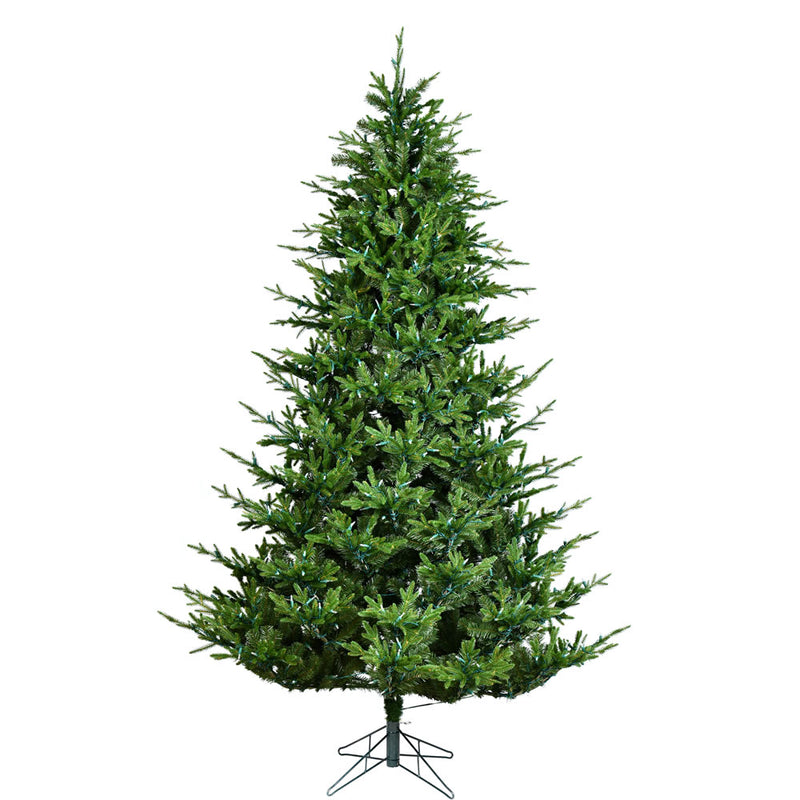 Takoma Frasier Fir