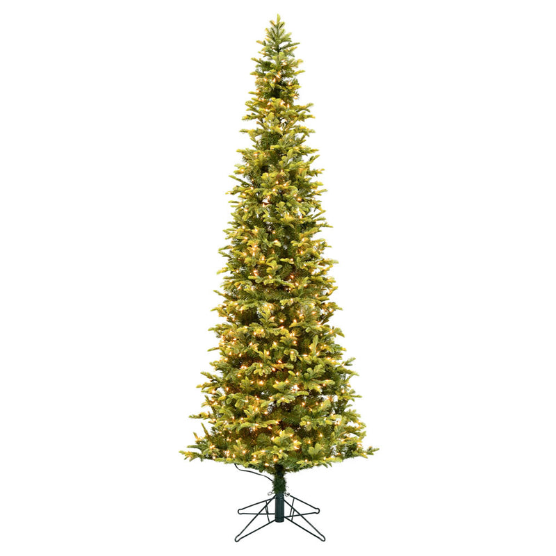 Belmount Balsam Fir