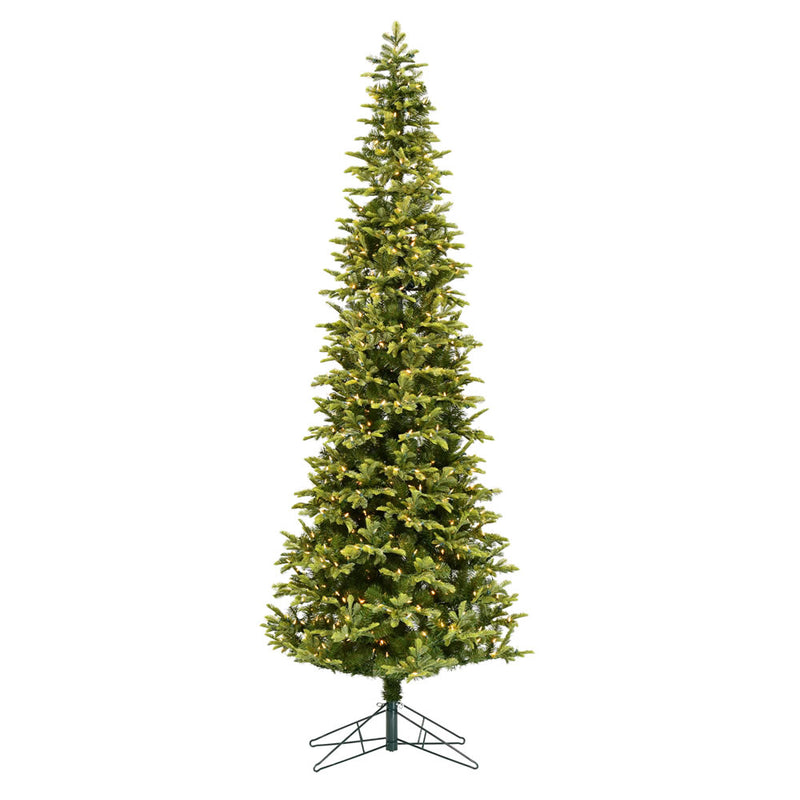 Belmount Balsam Fir