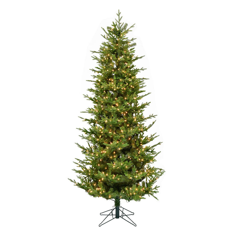 Hoboken Fraiser Fir