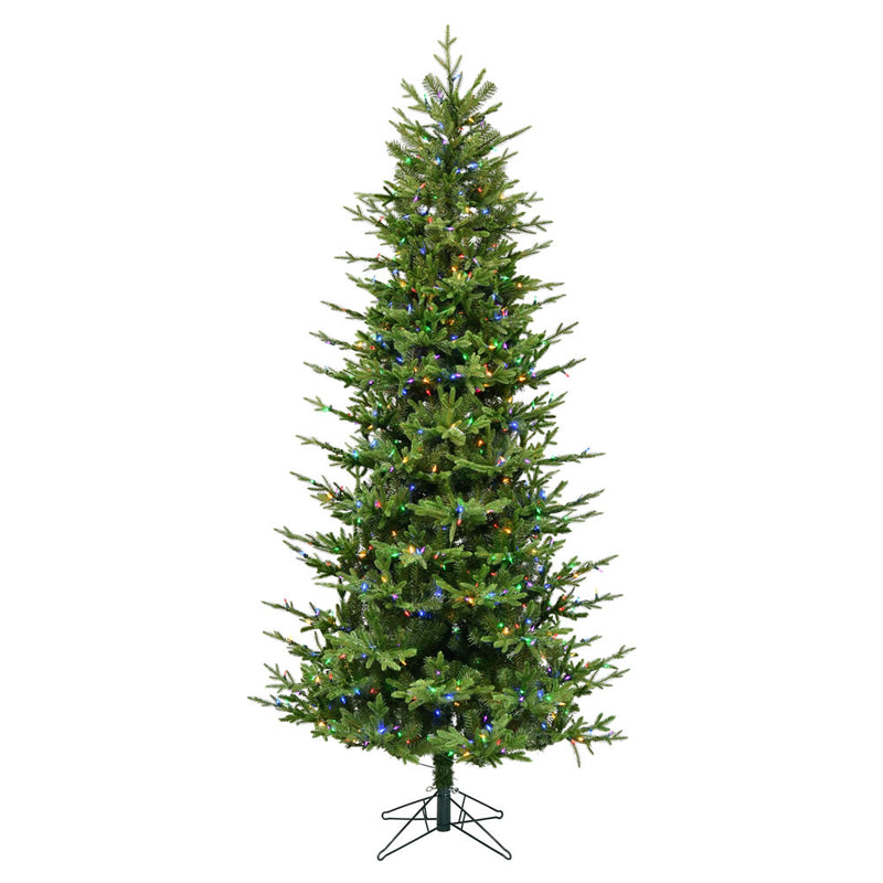 Hoboken Fraiser Fir