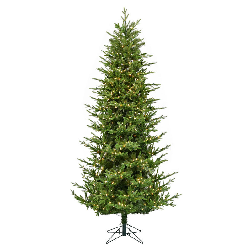 Hoboken Fraiser Fir