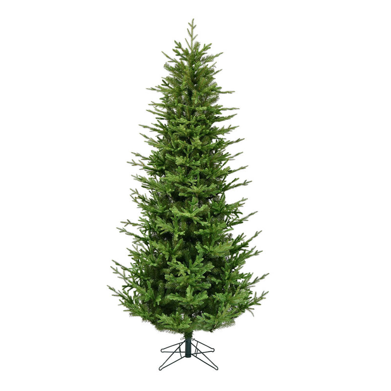 Hoboken Fraiser Fir