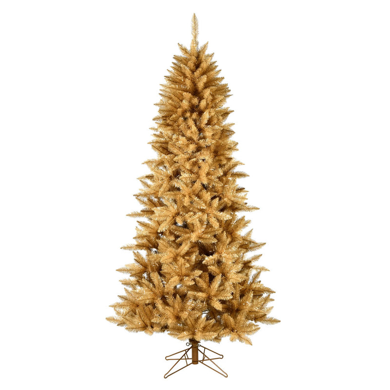 Gold Fir