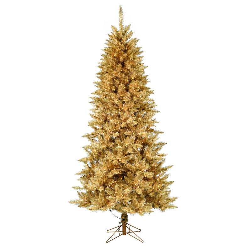 Gold Fir