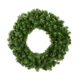 Douglas Fir