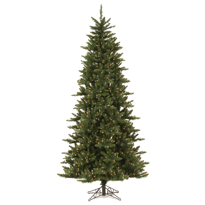 Camdon Fir