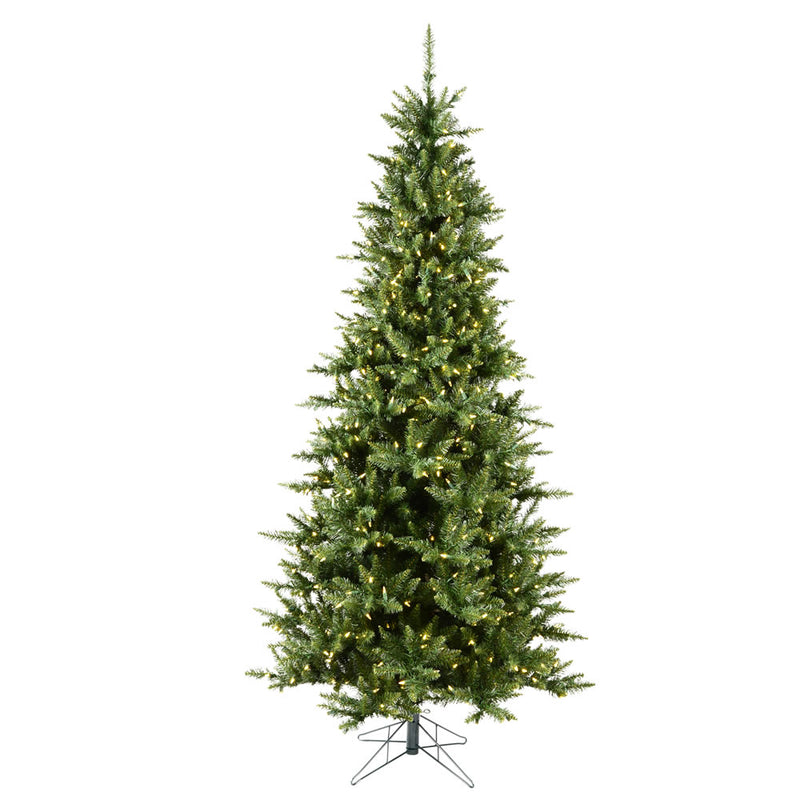 Camdon Fir