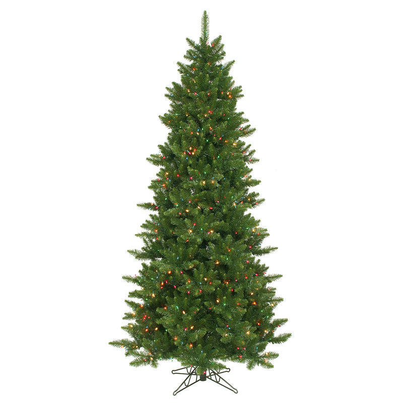 Camdon Fir