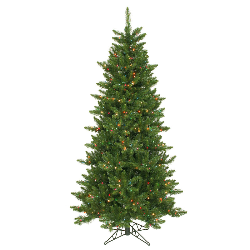 Camdon Fir