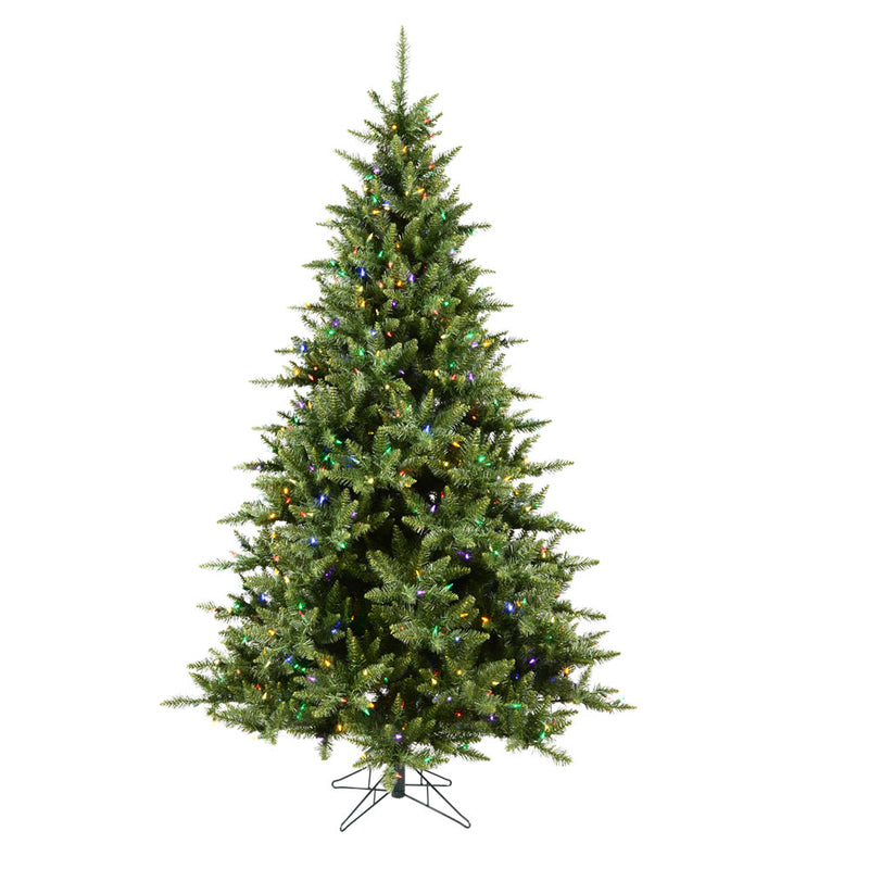 Camdon Fir