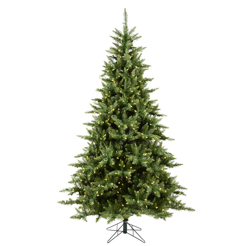 Camdon Fir