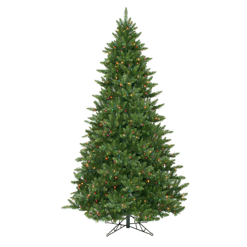 Camdon Fir