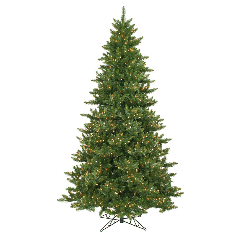 Camdon Fir