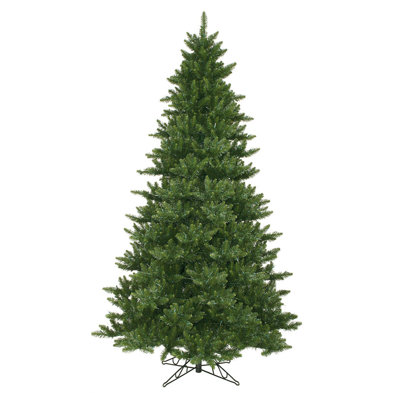 Camdon Fir