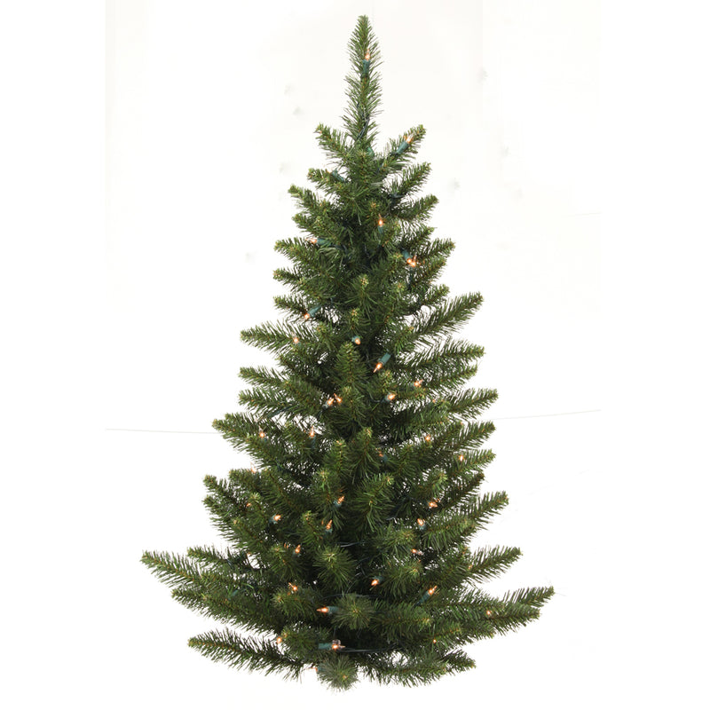 Camdon Fir