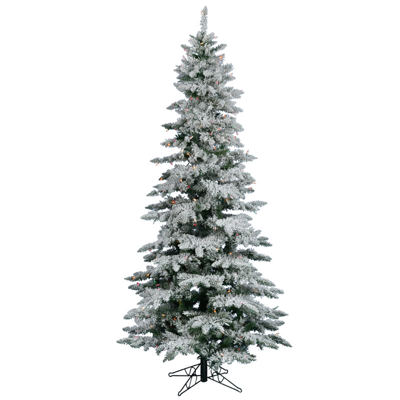 Flocked Utica Fir