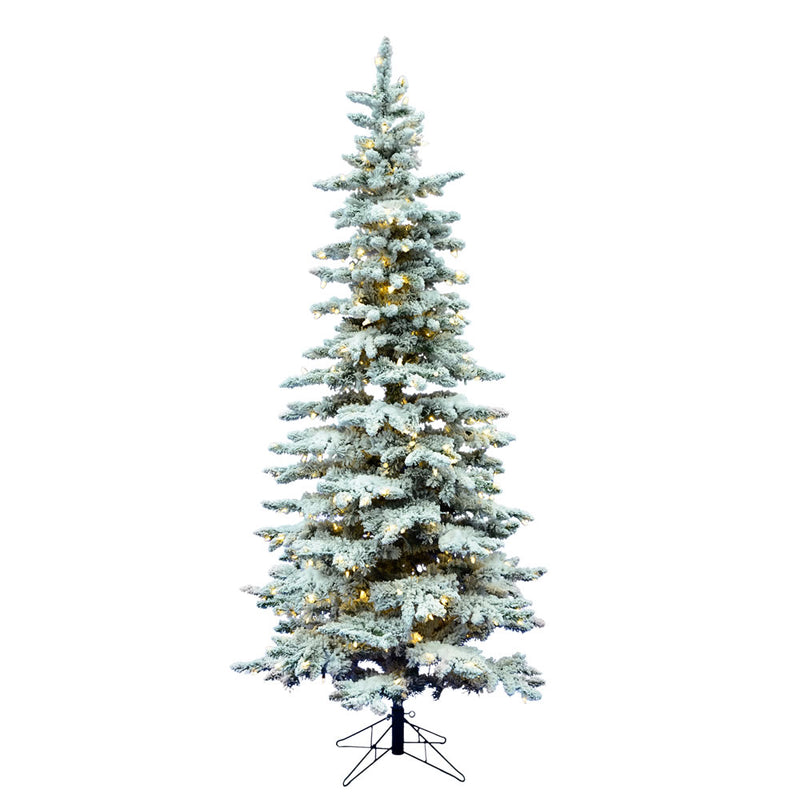 Flocked Utica Fir